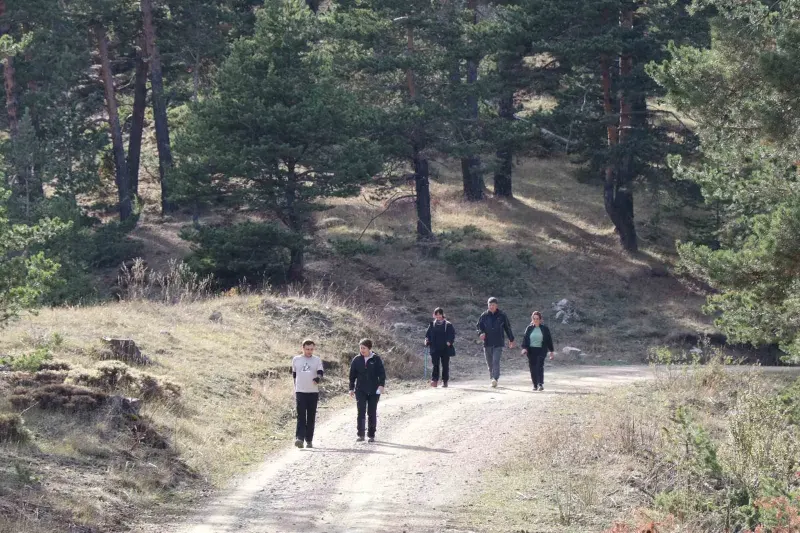 Erzurum Ormanlarında 15 Kilometrelik Doğa Yürüyüşü