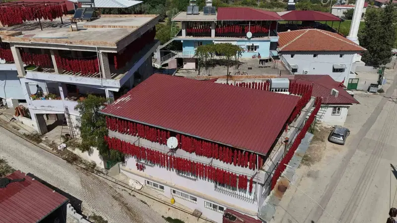 Hatay Yenihisar Mahallesi Kapya Biber Hasadıyla Kırmızıya Büründü