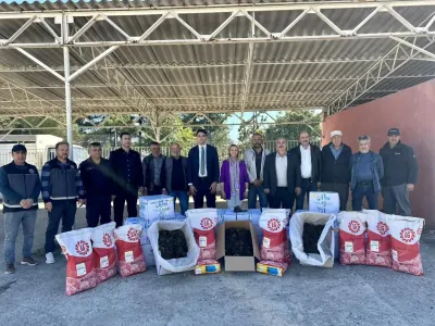 Bilecik Pazaryeri İlçesinde Çiftçilere 41 Bin 750 Çilek Fidesi Verildi