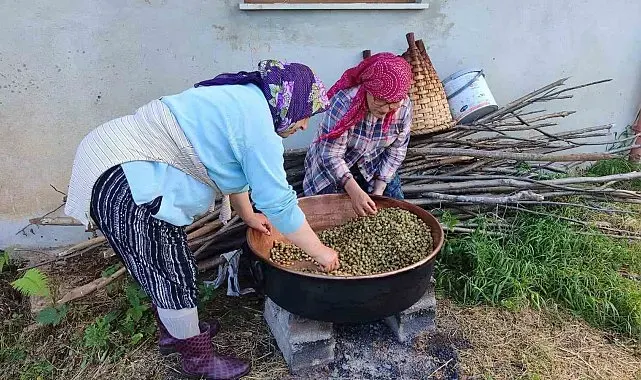 Karadeniz'de dut pekmezi mesaisi başladı: Kazanlar şifa için kaynıyor