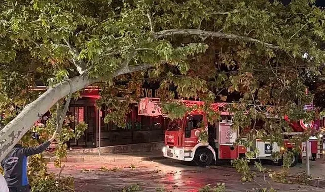 Tramvay hattına düşen dal seferleri aksattı