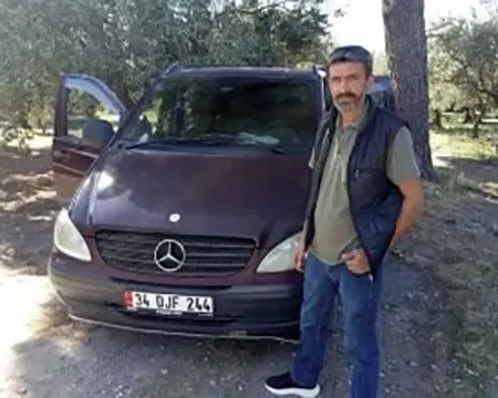 Manisa'da Zeytin Hasadı Yaparken Arı Sokması Sonucu Hayatını Kaybetti