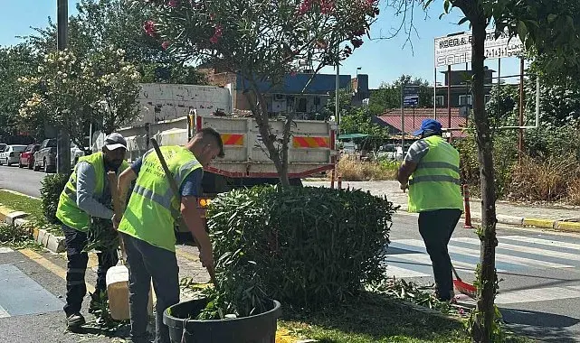 Efeler'de yeşil alanlar Büyükşehir ekipleriyle yenileniyor