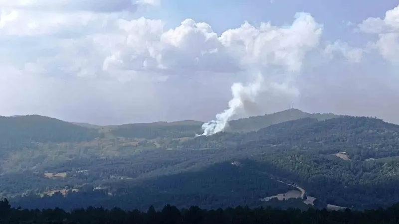 Kütahya'da Otluk Alanda Başlayan Yangın Ormana Sıçradı