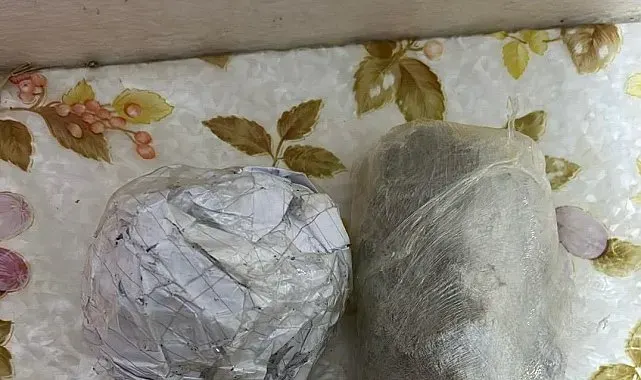 Çapkanlar Suç Örgütü'ne yeni operasyon: 24 şahıs yakalandı