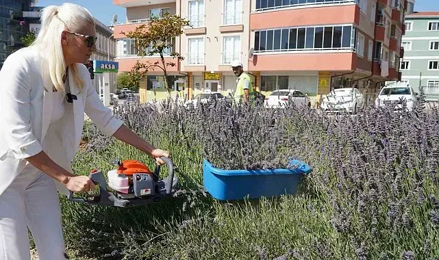 60 ülkeden 381 proje arasında Bilecik ve İstanbul yer aldı