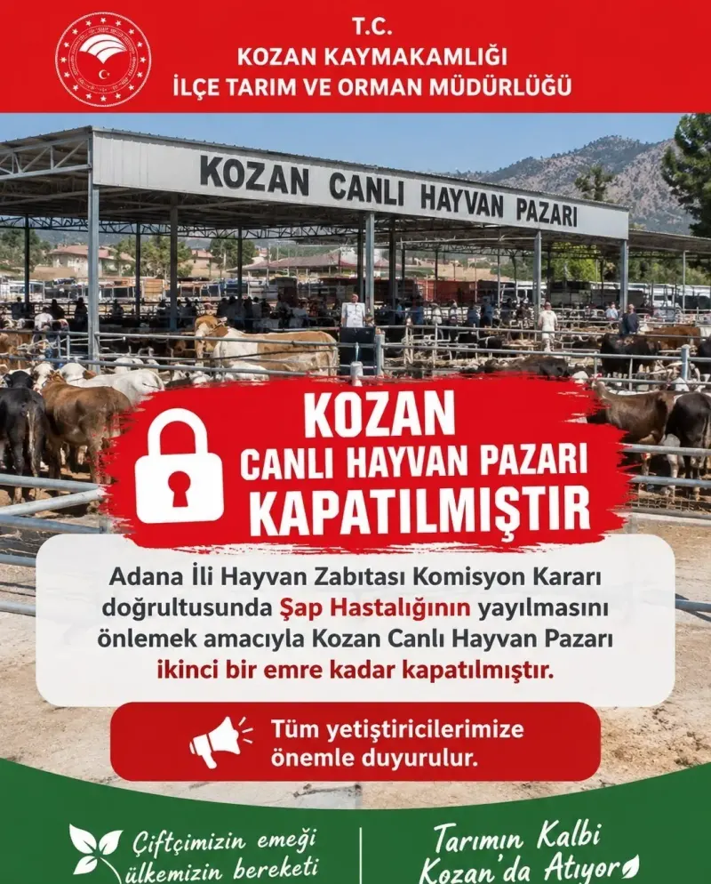 Adana Kozan Canlı Hayvan Pazarı Şap Hastalığı Tedbiriyle Kapatıldı