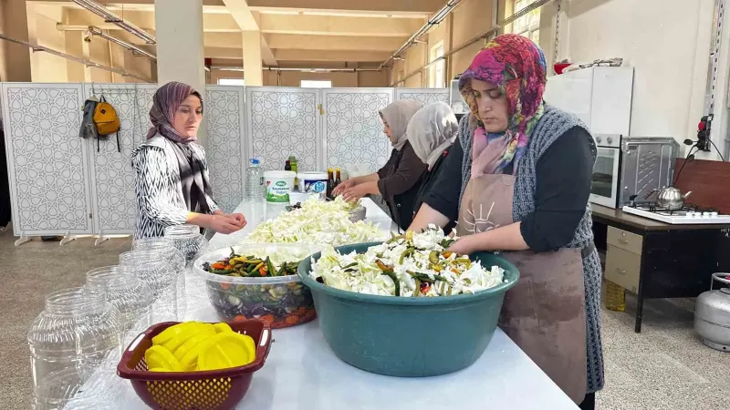 Ağrı'da Ata Tohumuyla Yetiştirilen Lahanalar Kadınların Eliyle Turşuya Dönüşüyor