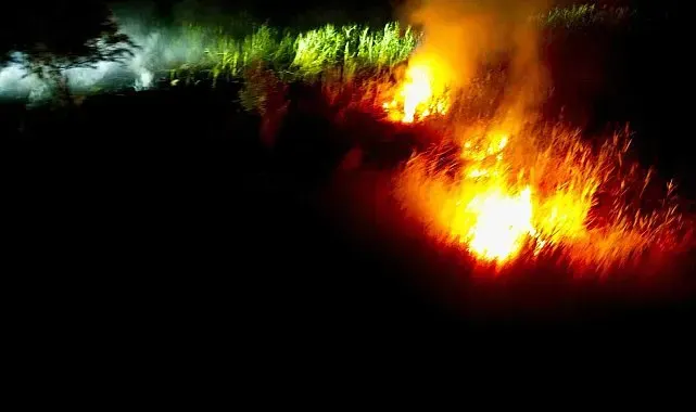 Eber Gölü'nde çıkan yangın sulak alana ulaşınca kendiliğinden söndü