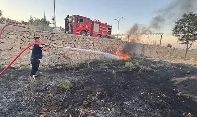 Kırıkhan'da zeytinlik alan yangını