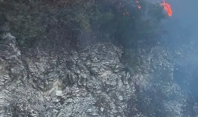 Yayladağı'nda ormanlık alanda çıkan yangın kontrol altına alındı