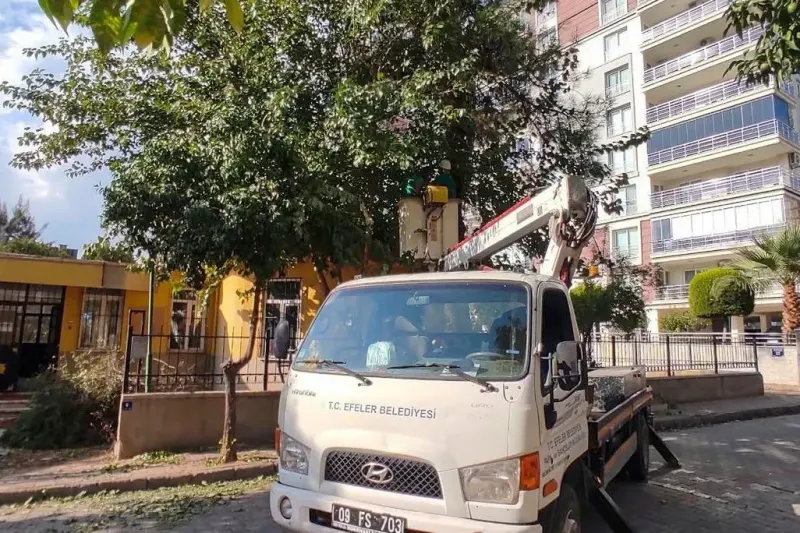 Efeler Belediyesinden Kent Genelinde Kapsamlı Yeşil Alan Ve Park Bakımı