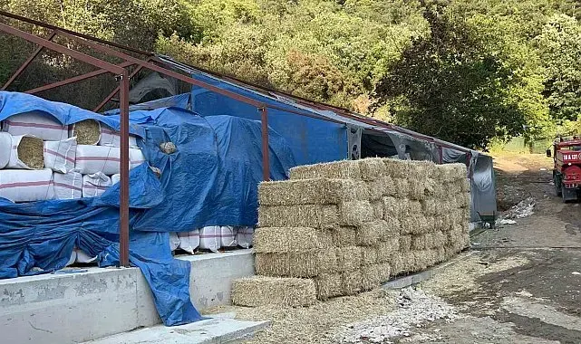 Bursa'daki orman yangınında 1 kişi gözaltına alındı