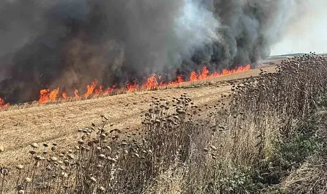 Buğday tarlası alev alev yandı