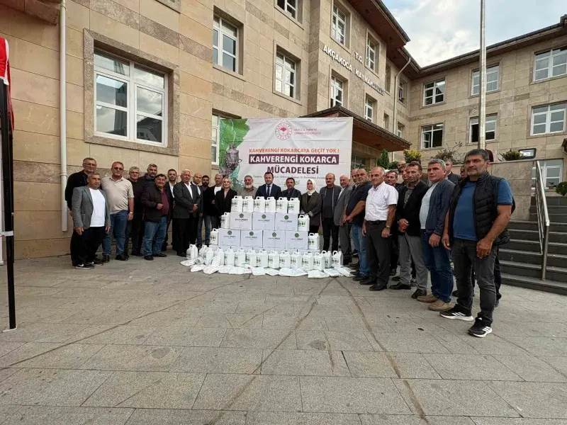 Düzce'nin Akçakoca İlçesinde Kahverengi Kokarcaya Karşı Kapsamlı Mücadele Başlatıldı