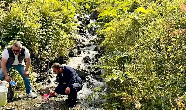 Uzungöl ve çevresindeki derelere 15 bin kırmızı benekli yavru alabalık bırakıldı