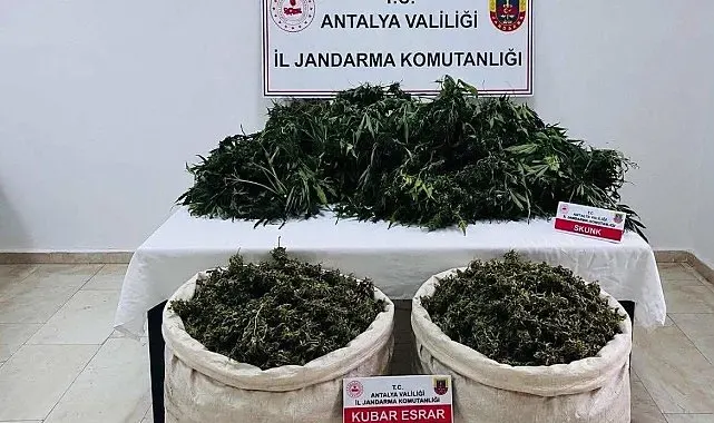 Antalya'da uyuşturucu operasyonunda 11 kilo 100 gram kubar esrar ele geçirildi