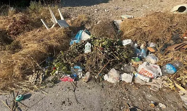 Yol kenarları çöple doldu, mahalleli isyan etti
