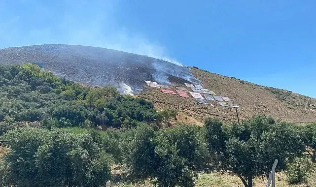 Hatay'da çıkan orman yangını büyümeden söndürüldü