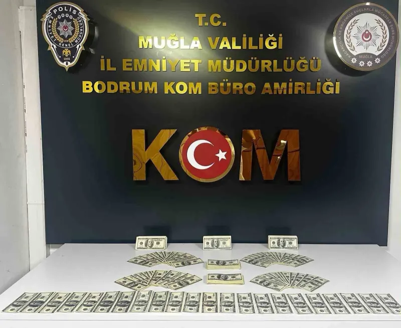 Bodrum'da Düzenlenen Operasyonda Binlerce Sahte Dolar Ele Geçirildi