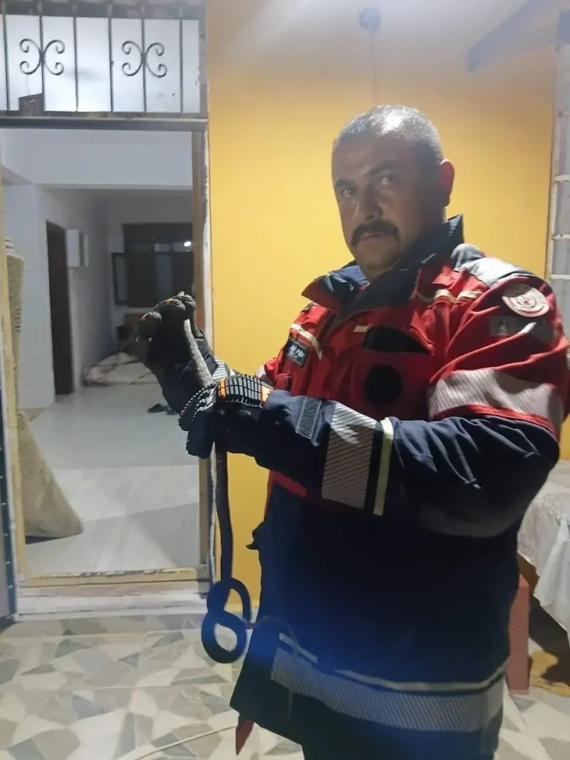 Hatay'da Yerleşim Yerinde Görülen Yılan İtfaiye Ekipleri Tarafından Kurtarıldı
