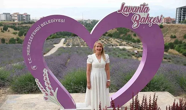 Merkezefendi'nin mor güzelliği lavanta bahçesi yoğun ilgi görüyor