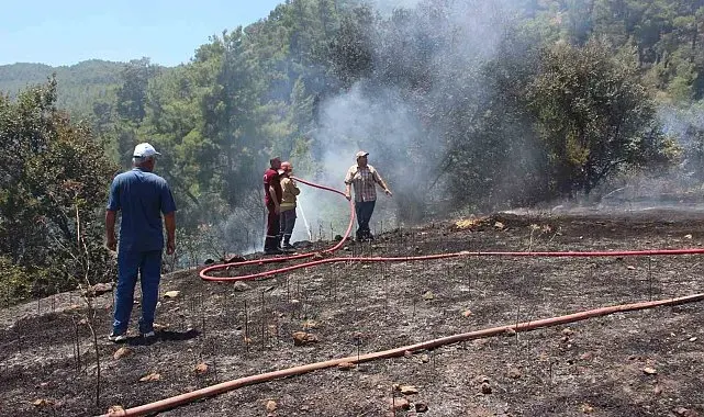 Kumluca'da makilik alanda çıkan yangın, evlere ve ormanlık alana sıçramadan söndürüldü