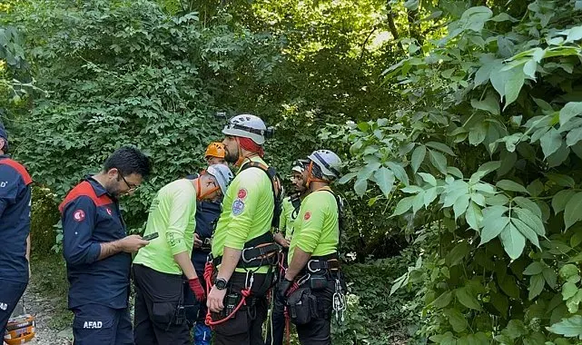 Uludağ'a ıhlamur toplamaya gitti, uçurumdan düşerek hayatını kaybetti