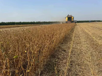Adana'da 2026 Yılı Soya Hasadı Biçerdöver Ücretleri Netleşti