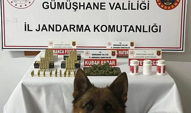Gümüşhane'de uyuşturucu operasyonu
