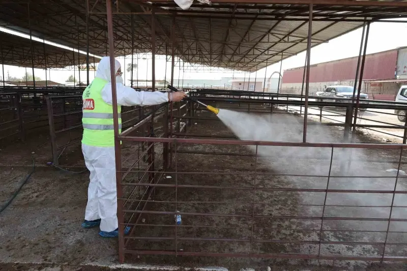 Hatay'da Şap Hastalığına Karşı Karasinek İlaçlama Seferberliği