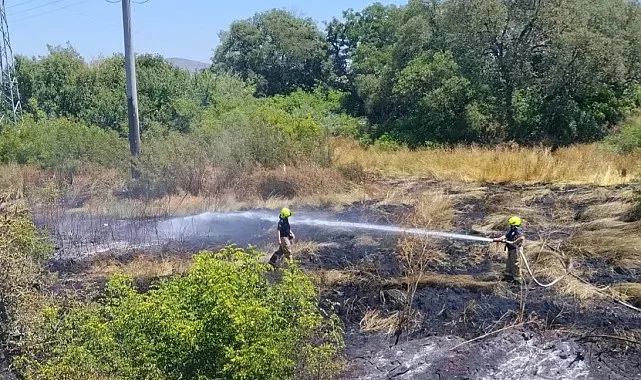 Balıkesir'de ot yangını korkuttu