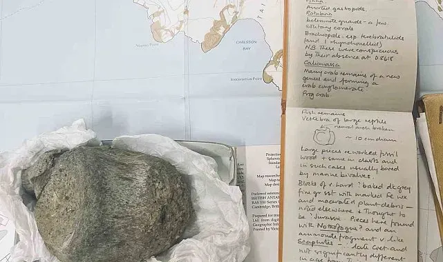 Antarktika'dan ilk dinozor kemiği bir çekmecede bulundu