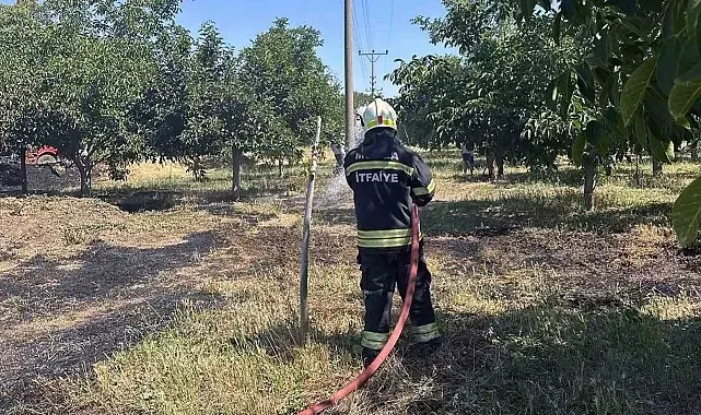 Arazi yangınları büyümeden söndürüldü