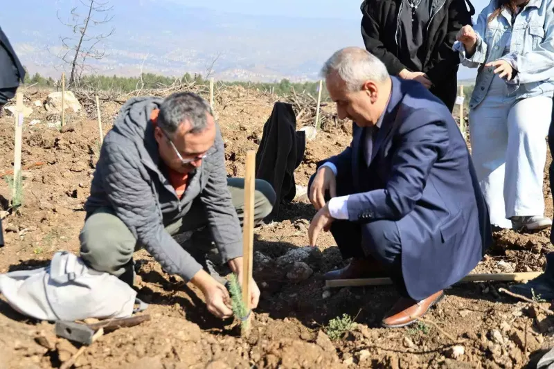Karabük’te Orman Yangınından Etkilenen Alanda 250 Fidan Toprakla Buluştu