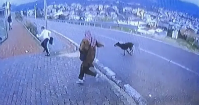 Bursa'da Köpekten Kaçarken Düşen Çocuğun Bacağı Kırıldı