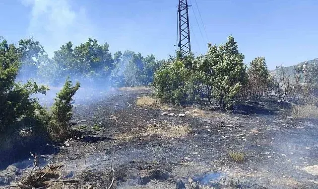 Bingöl'de çıkan orman yangını büyümeden kontrol altına alındı