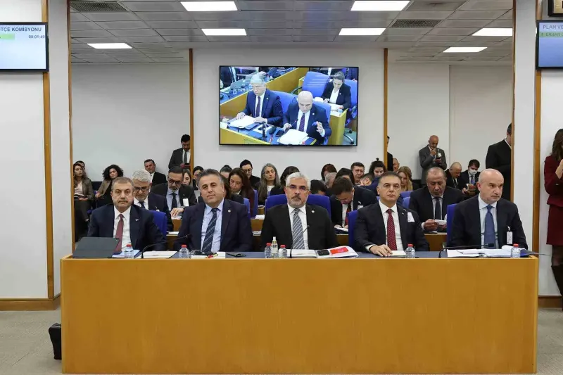 Yatırım Fonu Tasfiye Düzenlemesinde Kamu Kaynağı Kullanılmayacak