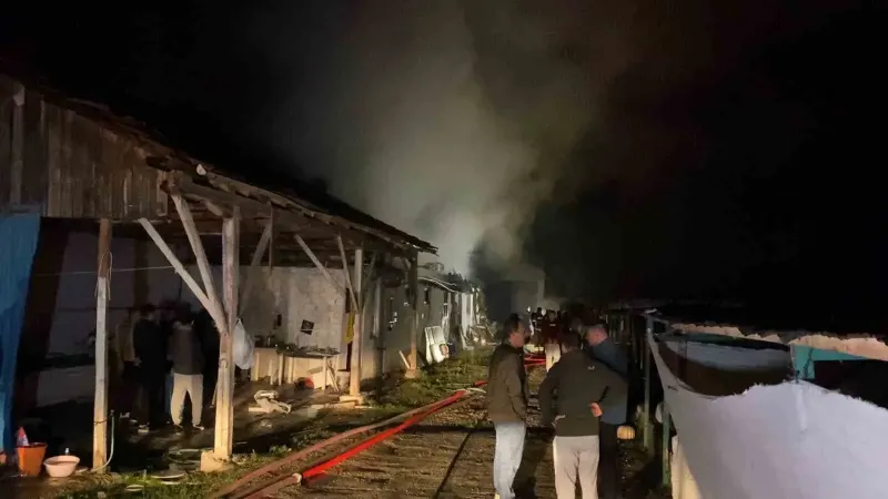 Bursa İnegöl'de Büyükbaş Hayvan Çiftliğinde Yangın Çıktı