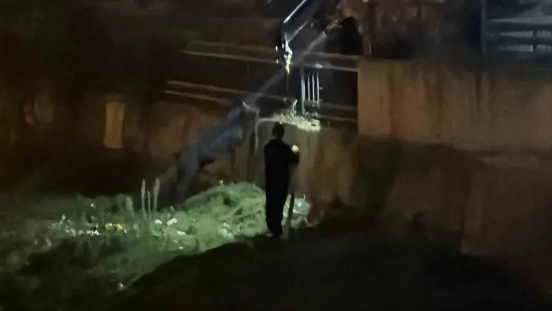 Düzce’de Dereye Düşen Eşek Vinçle Kurtarılmayı Beklerken Sahibine Koştu