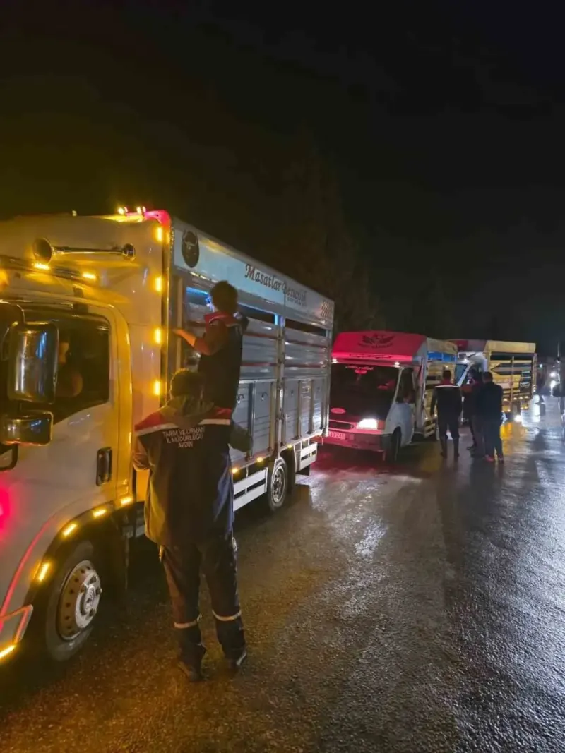 Aydın Çine Hayvan Pazarı Sıkı Sağlık Denetimleriyle Yeniden Açıldı
