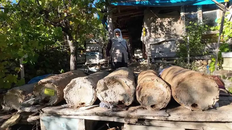 85 Yaşındaki Hatice Orhan Yozgat’ta Karakovan Balı Üretiyor