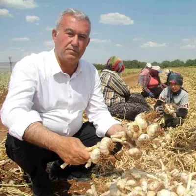 Araban Ziraat Odası Başkanı Altun’dan Kadın Çiftçiler Günü Mesajı