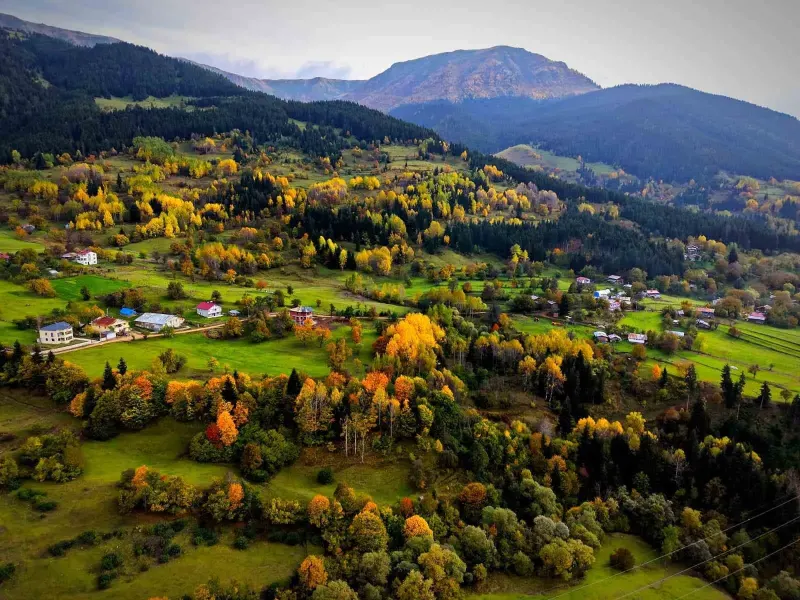 Artvin Şavşat'ta Sonbahar Renkleri Kartpostallık Manzaralar Oluşturdu