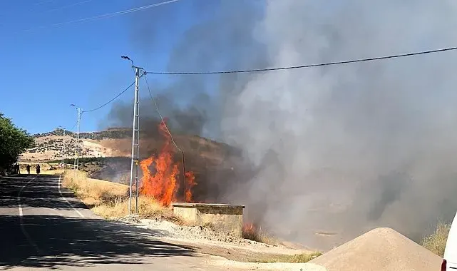 Akıma kapılan karga yangına neden oldu