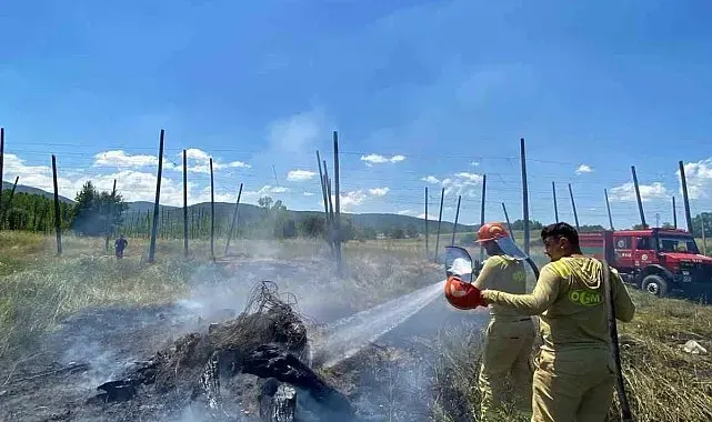 Tarlada yakılan ateş yangına neden oldu
