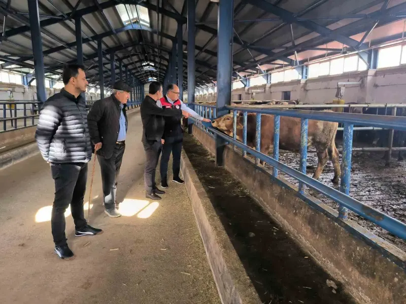 Bayburt'ta Hibe Desteğiyle Kurulan 240 Başlık Hayvancılık Tesisine Ziyaret