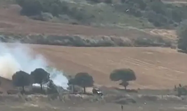 Piknik ateşi çayırlık alanı küle çevirdi