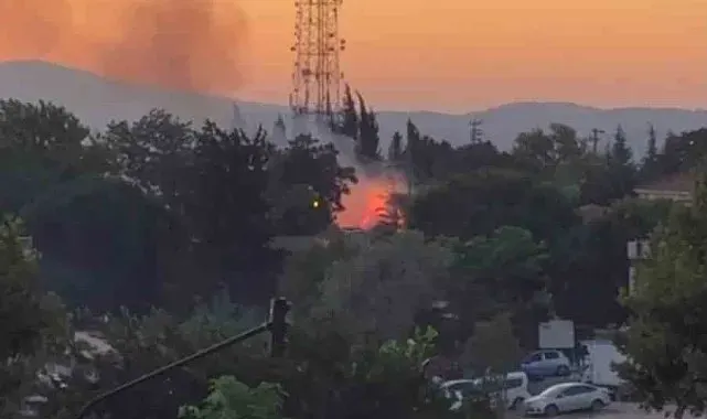 Konser alanı yakınında çıkan yangın panik yaşattı