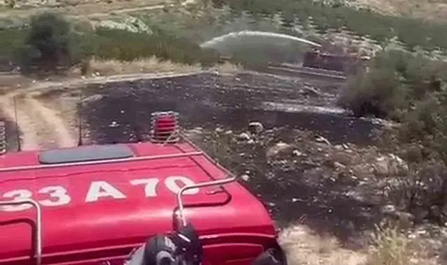 Mersin'de 6 dekar bahçe yangında zarar gördü